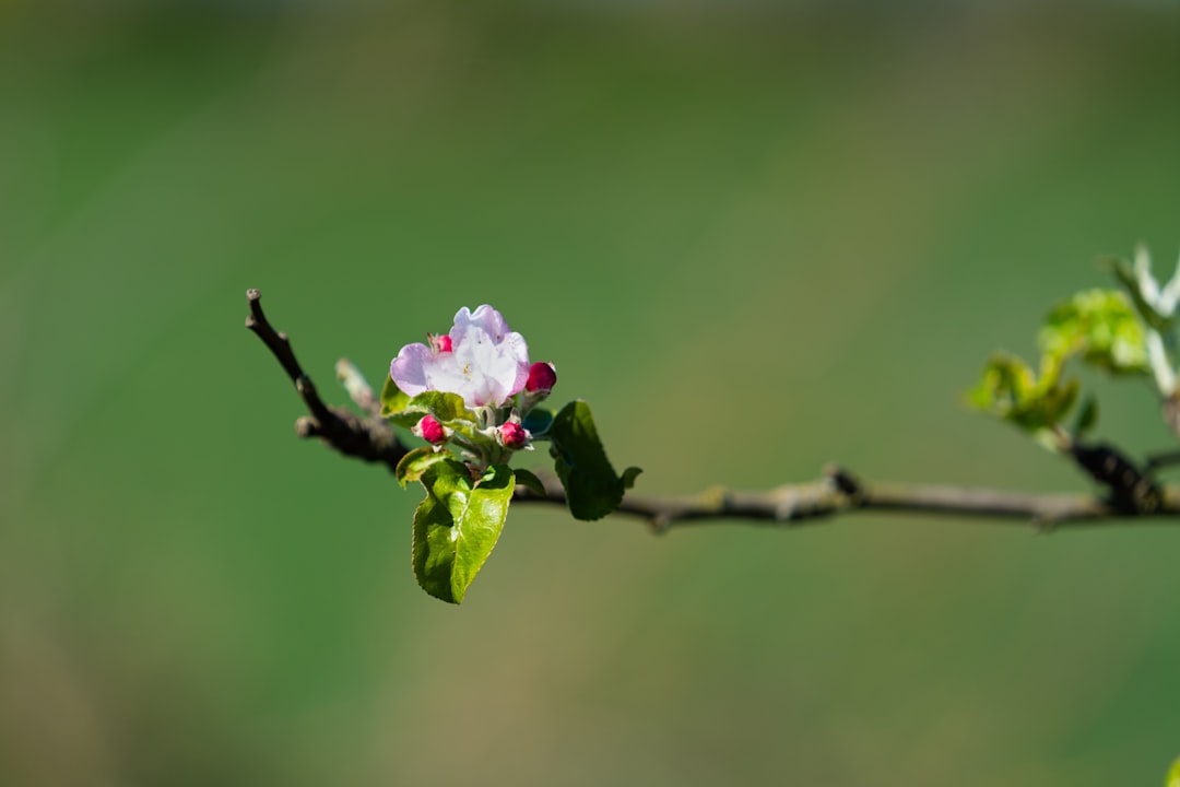 Spodnie w kwiaty – letnia moda